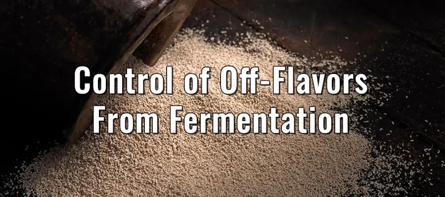 Control of Off-Flavors From Fermentation