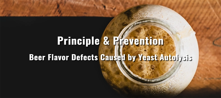 Craft Beer Flavor Defects Caused by Yeast Autolysis