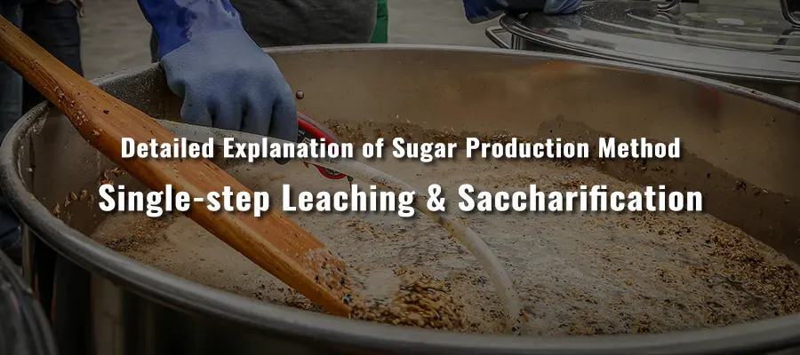 Single-step Leaching and Saccharification