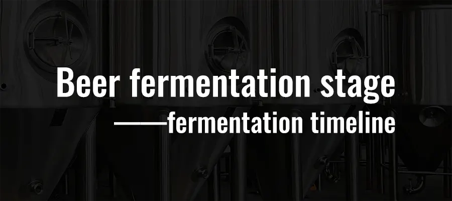 Beer fermentation stage: fermentation timeline