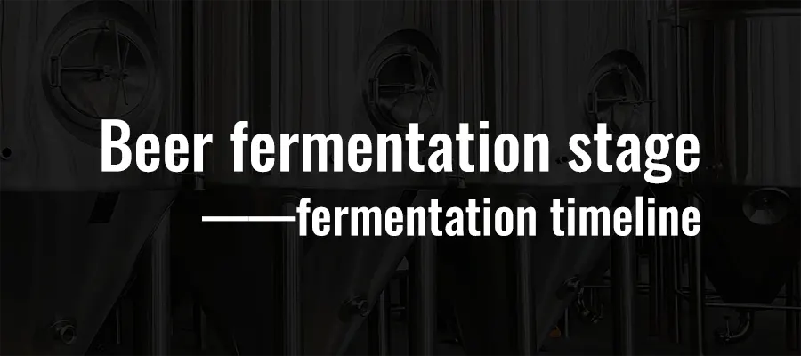 Fase di fermentazione della birra: cronologia della fermentazione