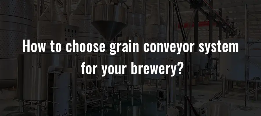 How to choose grain conveyor system for your brewery?