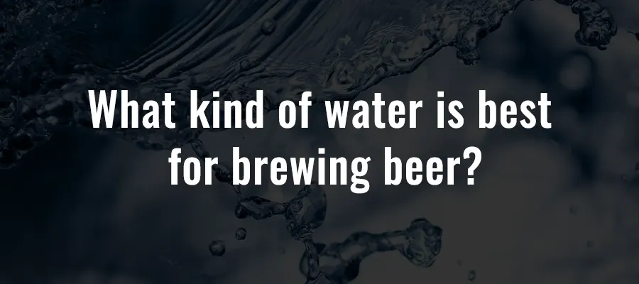 What kind of water is best for brewing beer?