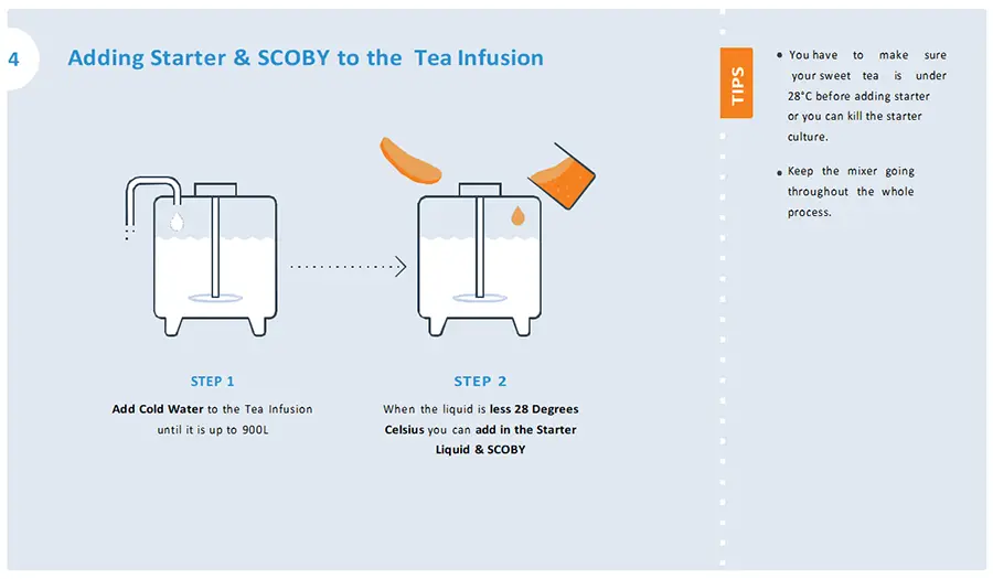 Quel est le procédé de préparation du thé kombucha ? 6 Processus de fabrication du kombucha 3