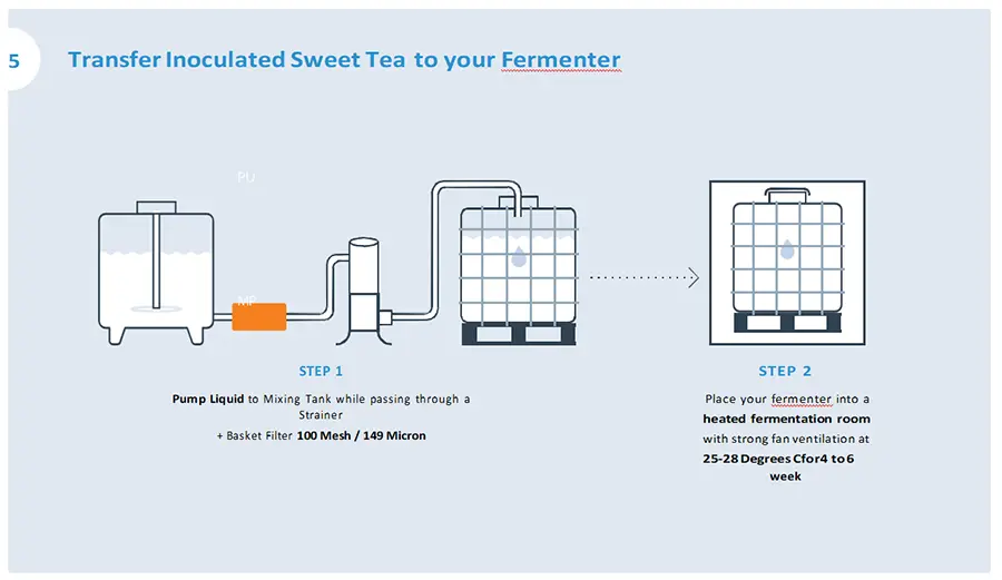 Kombucha making Processes 4