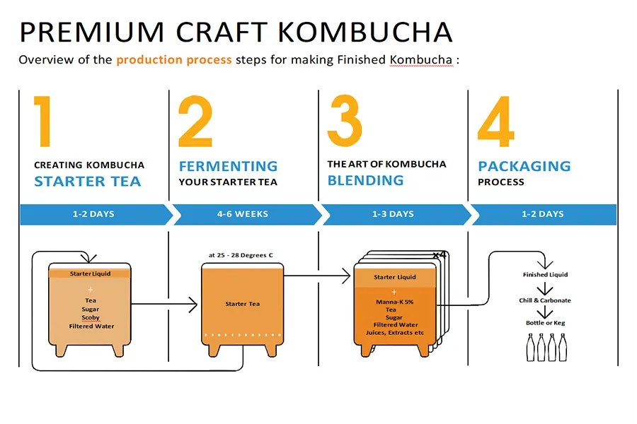 Quel est le procédé de préparation du thé kombucha ? 2 thé kombucha artisanal