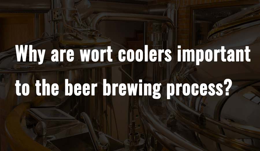Why are wort coolers important to the beer brewing process?