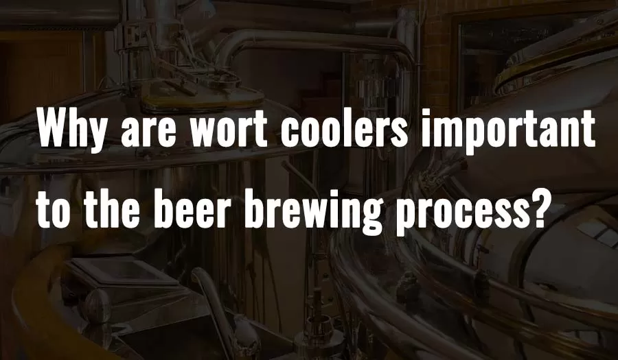 Pourquoi les refroidisseurs de moût sont-ils importants dans le processus de brassage de la bière ?