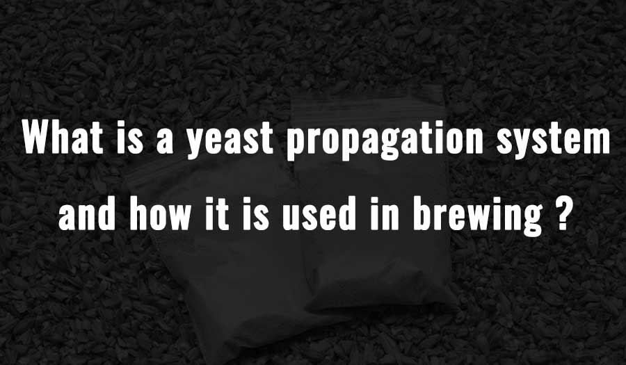What is a yeast propagation system and how it is used in brewing？