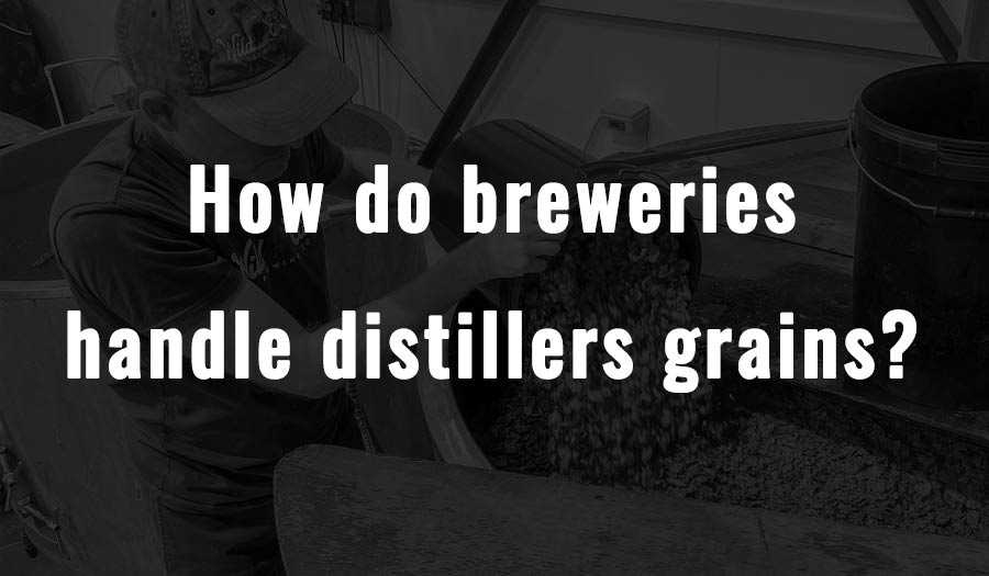 How do breweries handle distillers grains?