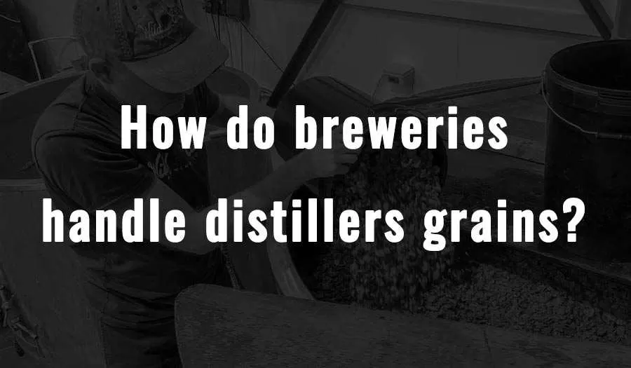 How do breweries handle distillers grains?