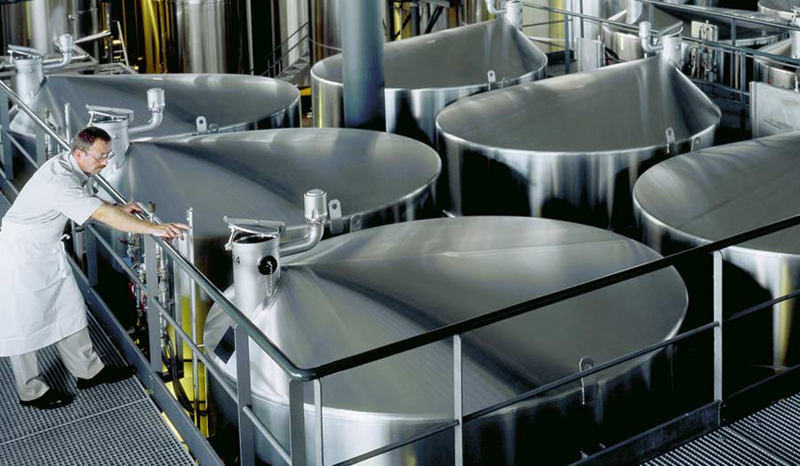 Understanding Beer Fermentation Stagnation