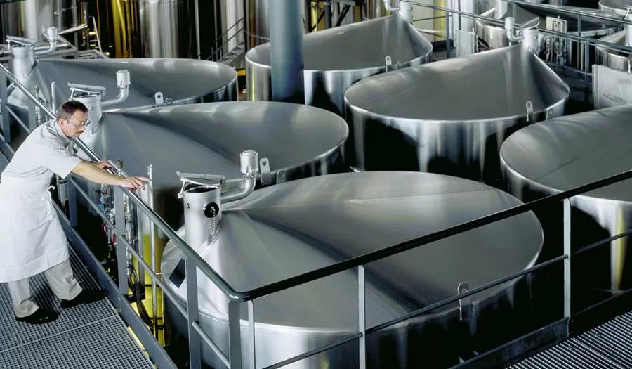 Understanding Beer Fermentation Stagnation