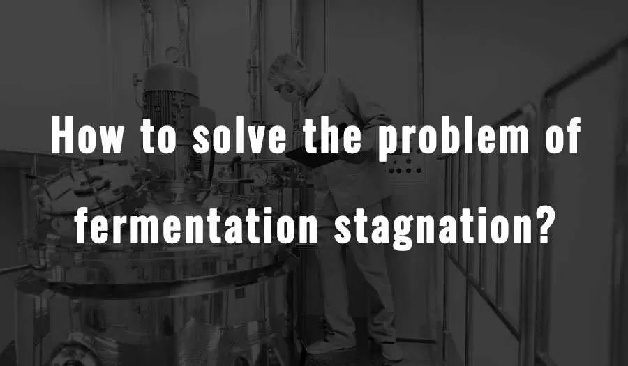 Como resolver o problema da estagnação da fermentação?