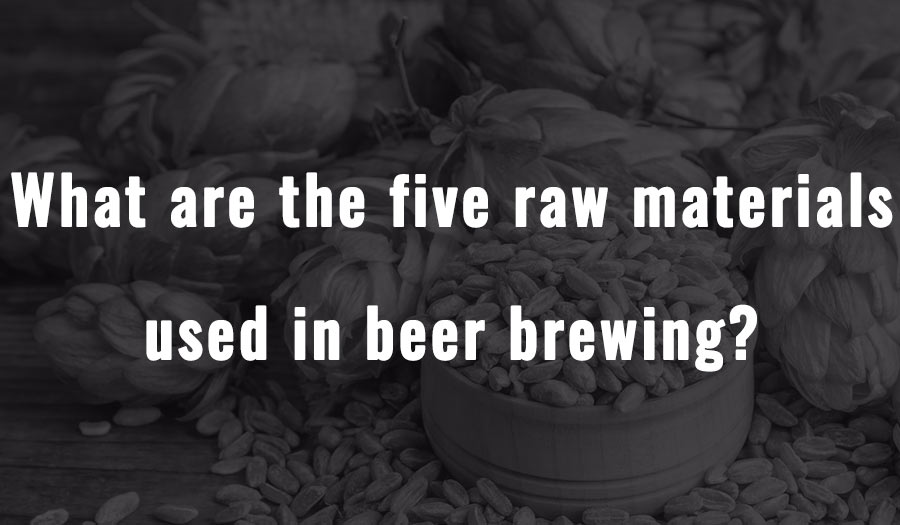 What are the five raw materials used in beer brewing?