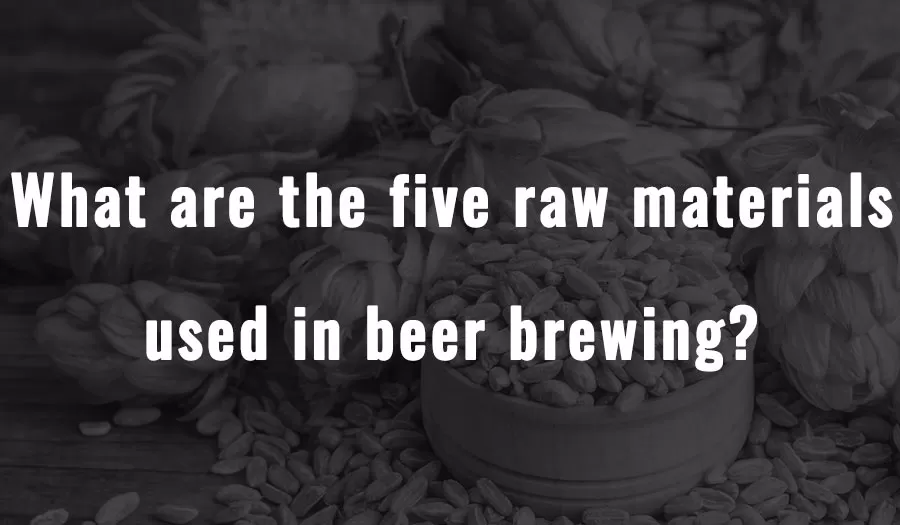 ¿Cuáles son las cinco materias primas utilizadas en la fabricación de cerveza?
