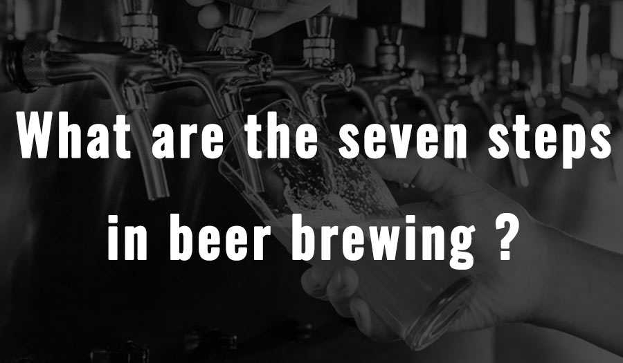 What are the seven steps in beer brewing?
