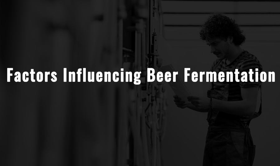 Processo di fermentazione: fattori che influenzano la fermentazione della birra