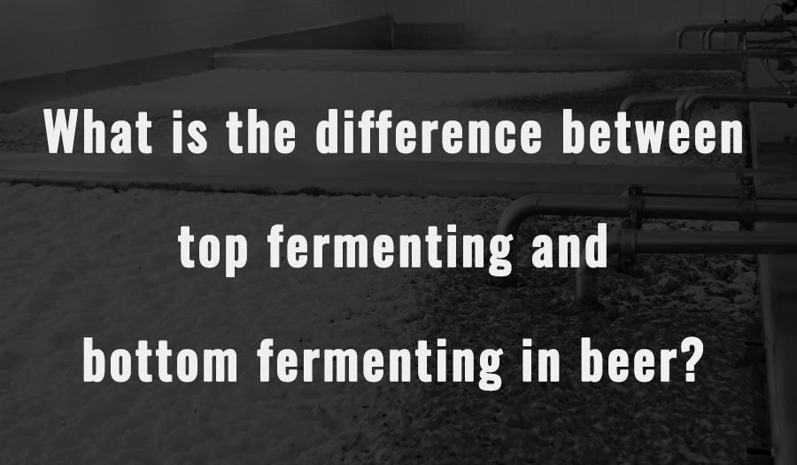 What is the difference between top fermenting and bottom fermenting in beer?