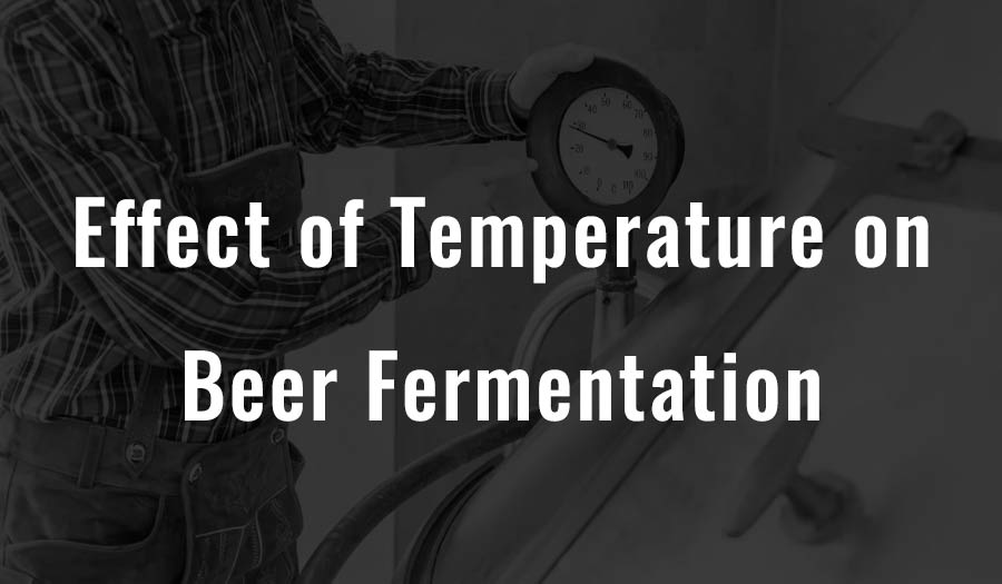 Einfluss der Temperatur auf die Biergärung