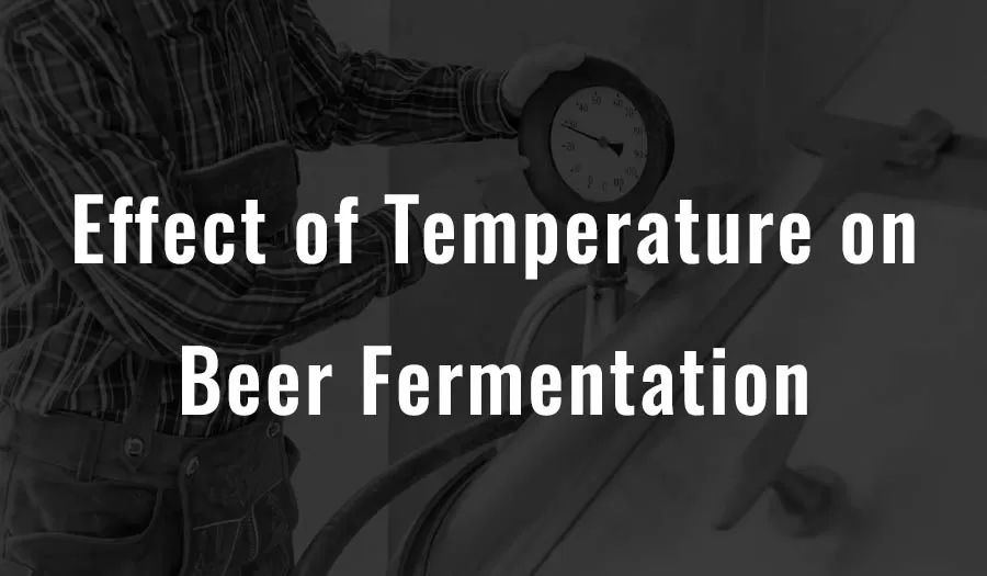 Effet de la température sur la fermentation de la bière