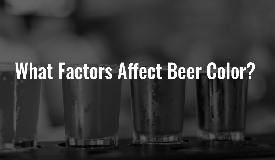 What Factors Affect Beer Color?