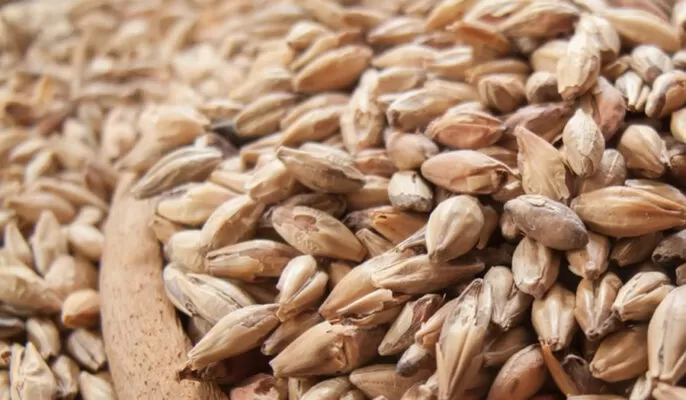 Grano supplementare