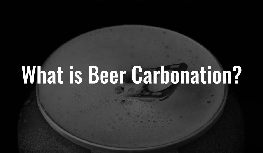 What is Beer Carbonation?
