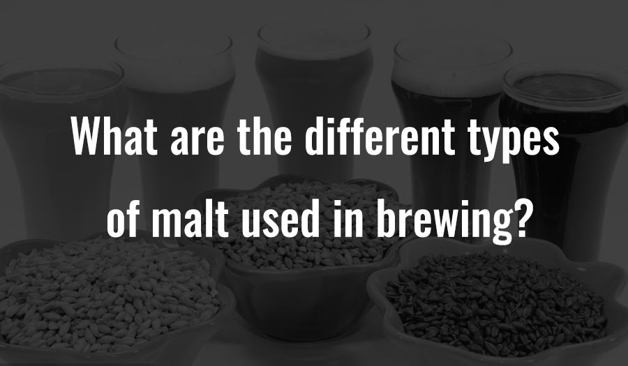 What are the different types of malt used in brewing?