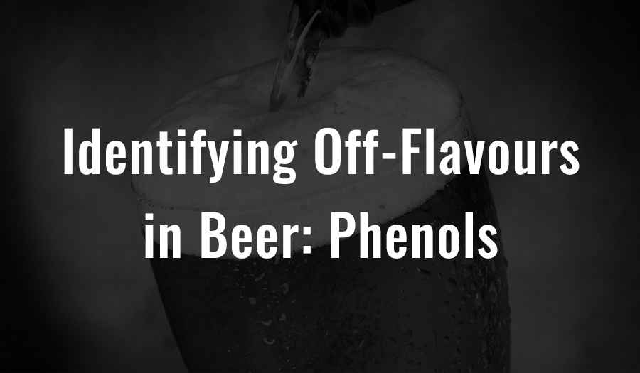 Identifying Off-Flavours in Beer: Phenols