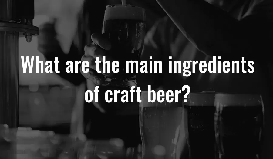 Jaké jsou hlavní složky řemeslného piva?