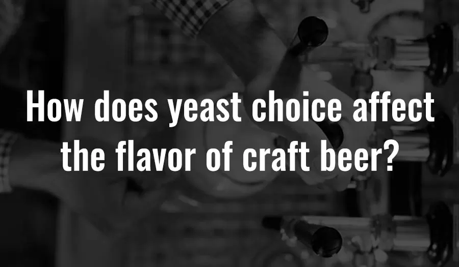 Como é que a escolha da levedura afecta o sabor da cerveja artesanal?