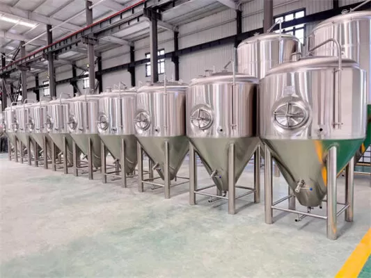 Fermentatori da 10BBL