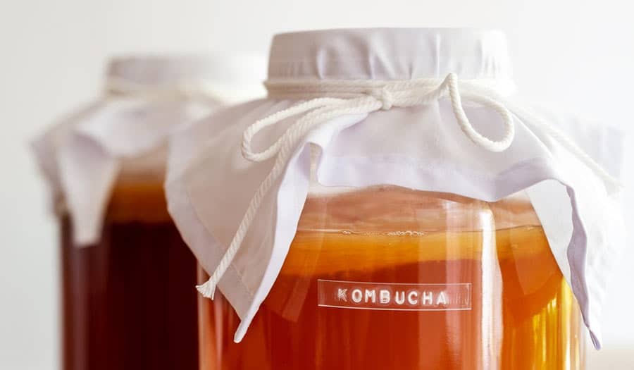 Choosing your kombucha supplies