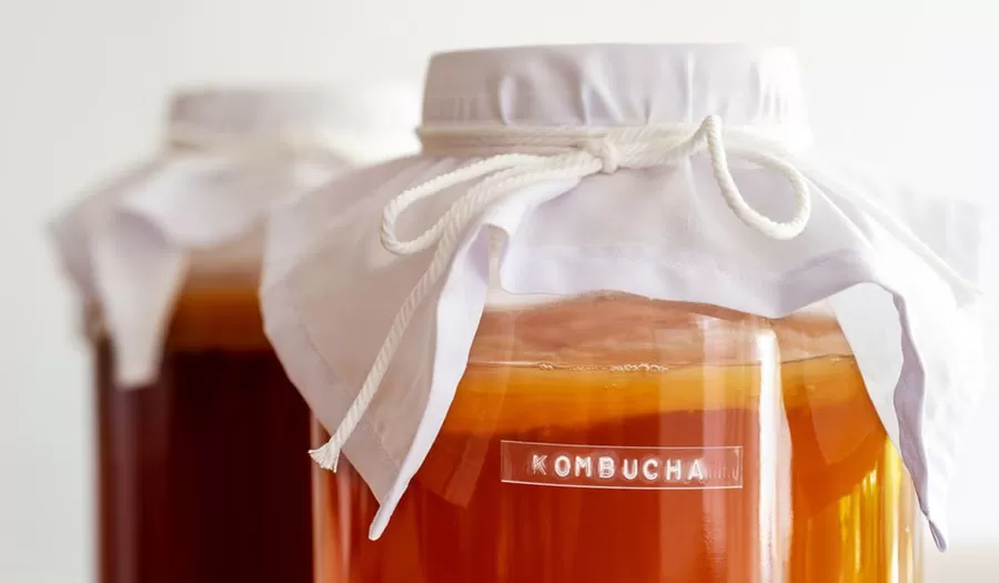 Hoe kombucha-apparatuur kiezen?