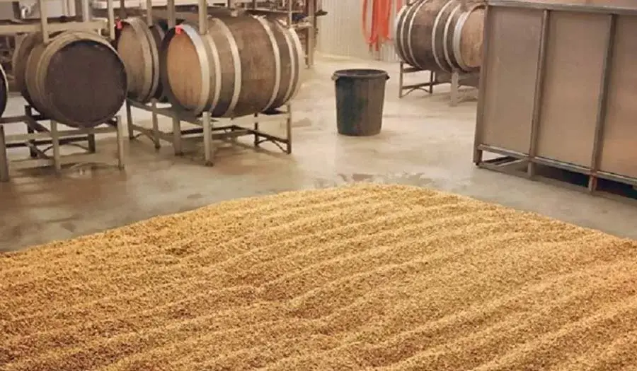 équipement de brassage de céréales