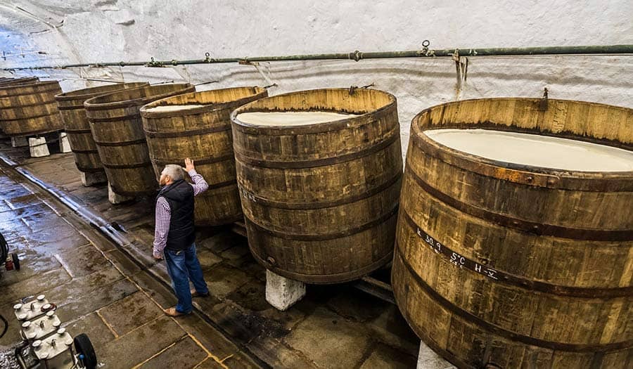 La différence entre les fermenteurs de bière et de vin