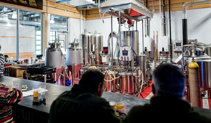 Design your craft brewery