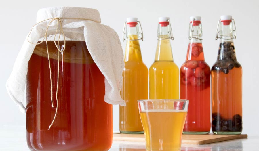 Quel est le matériel nécessaire à la fabrication du kombucha ?