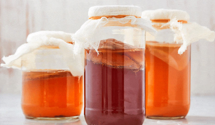 Quali sono i consigli per l'acquisto di un fermentatore conico per kombucha?