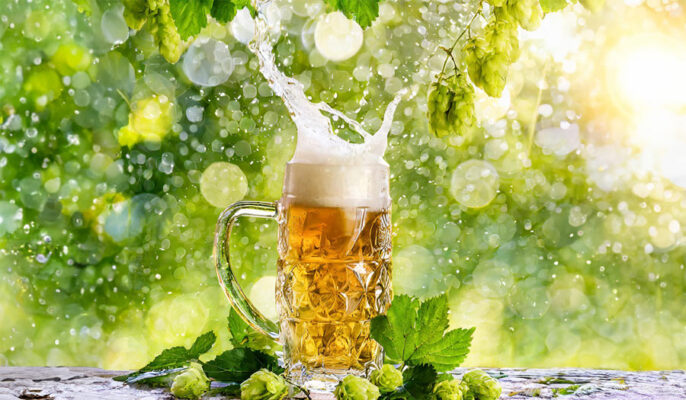 Che cos'è la produzione di birra sostenibile ed ecologica?