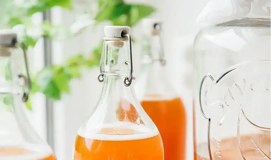 El mejor recipiente para elaborar kombucha