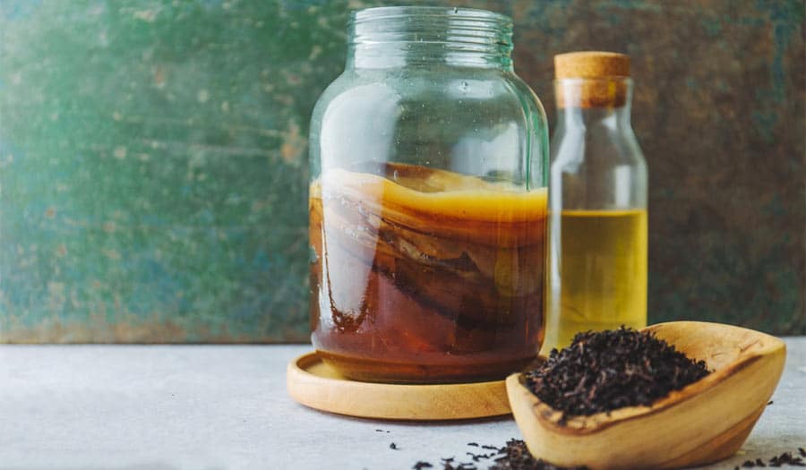 De quel équipement une brasserie de kombucha a-t-elle besoin ?