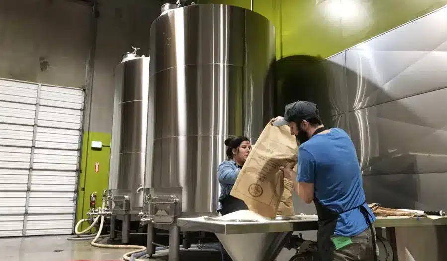 Guida per i principianti della fabbrica di birra Kombucha's