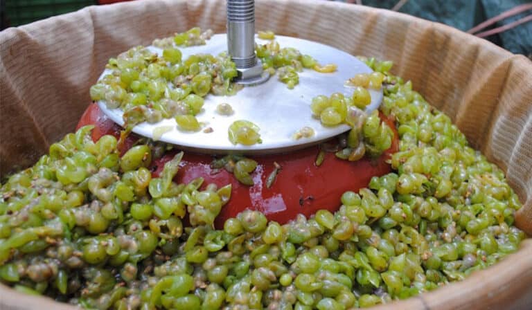 What equipment is needed to make wine? 2 make wine