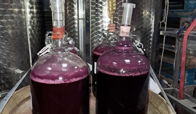 What equipment is needed to make wine? 4 make wine tanks