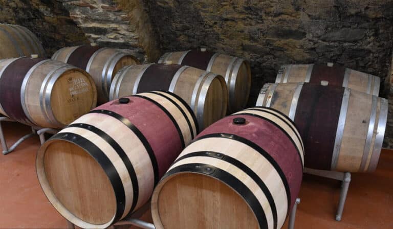 Commercial Winemaking Equipment Guide 4 Barrel