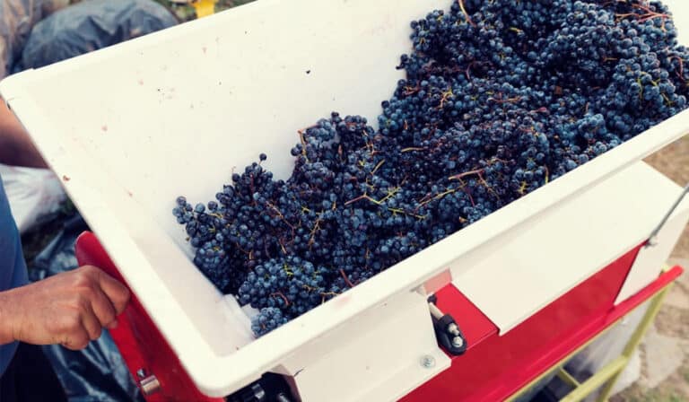 Commercial Winemaking Equipment Guide 2 Wine making
