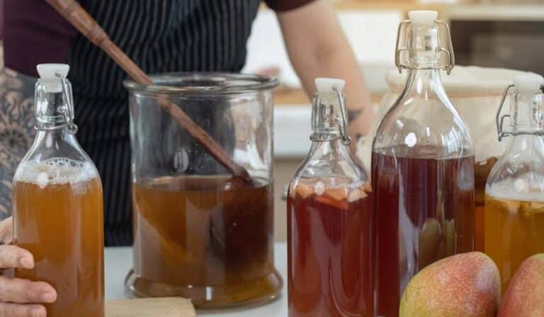 How to Select a Suitable Kombucha Fermentation Tank? 2 Kombucha fermentatietank