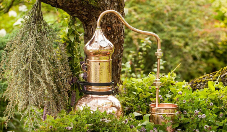 The Ideal Choice for Beginner Brewers